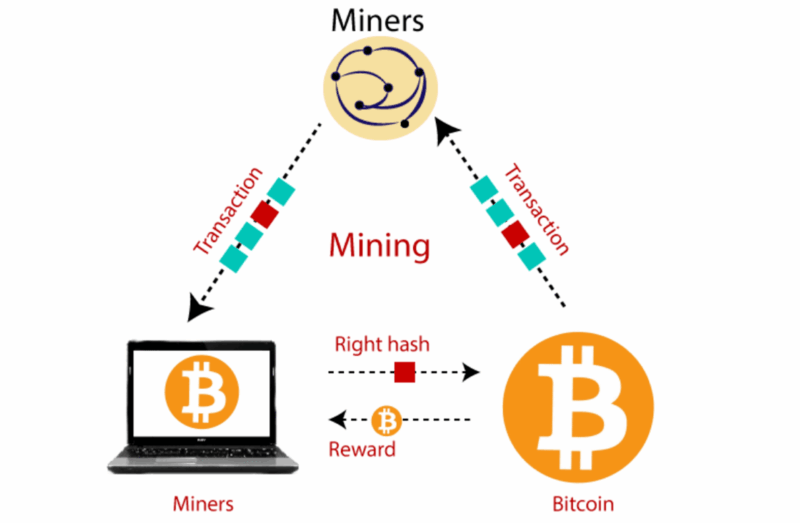 Các Hình thức Mining Crypto Phổ biến Hiện nay Các Hình thức Mining Crypto Phổ biến Hiện nay