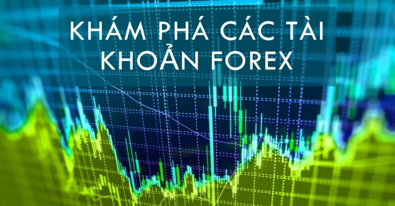 Các loại tài khoản Forex Các loại tài khoản Forex