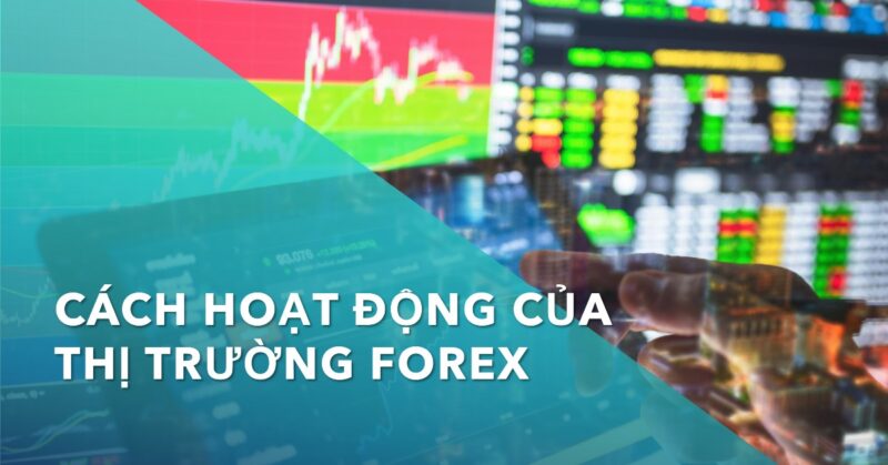 Cách hoạt động của thị trường Forex Cung cầu và Biến động Tỷ giá Cách hoạt động của thị trường Forex Cung cầu và Biến động Tỷ giá