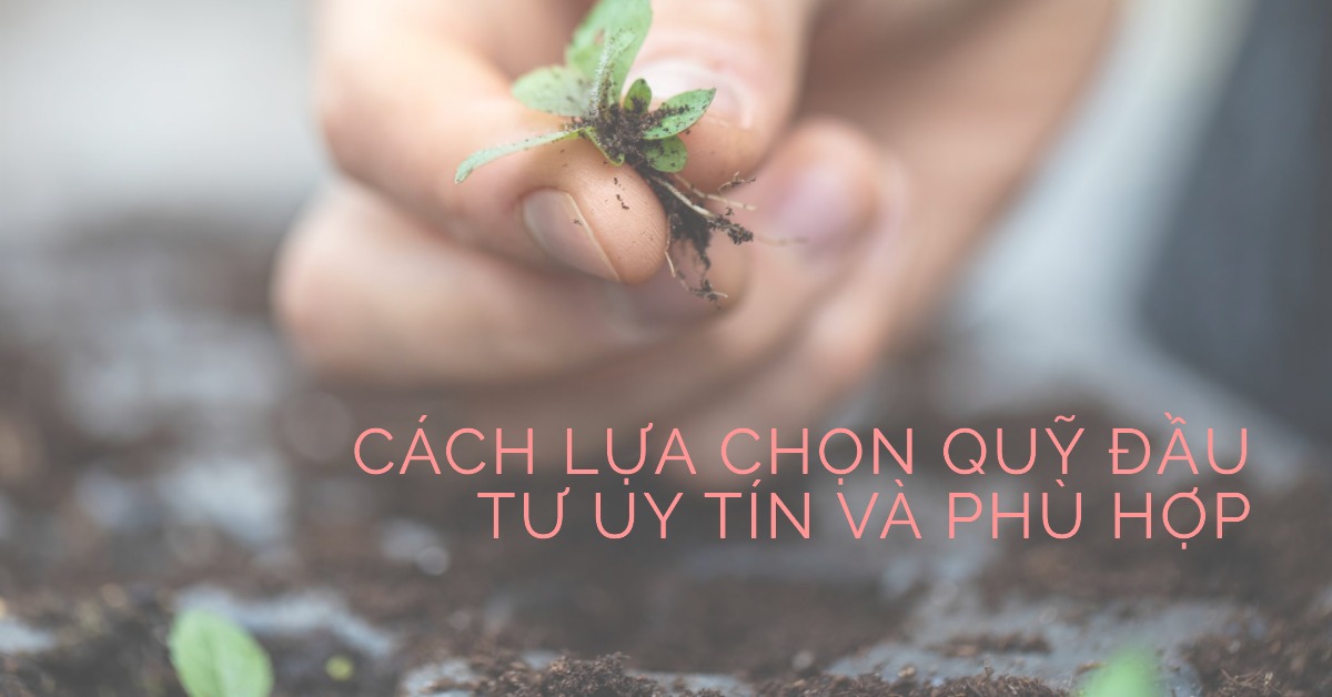 Cách lựa chọn quỹ đầu tư uy tín và phù hợp