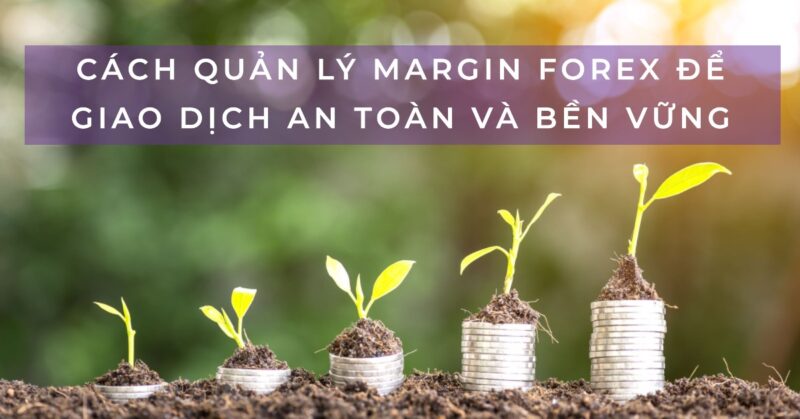 Cách Quản lý Margin Forex để Giao dịch An toàn và Bền vững Cách Quản lý Margin Forex để Giao dịch An toàn và Bền vững