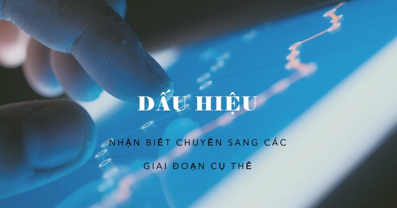 Dấu hiệu Nhận biết Chuyển sang các Giai đoạn Cụ thể