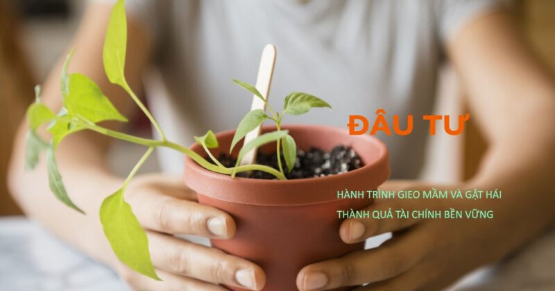 Đầu tư Hành trình gieo mầm và gặt hái thành quả tài chính bền vững Đầu tư Hành trình gieo mầm và gặt hái thành quả tài chính bền vững