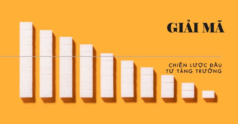 Giải Mã ADN Của Chiến Lược Đầu Tư Tăng Trưởng Giải Mã ADN Của Chiến Lược Đầu Tư Tăng Trưởng