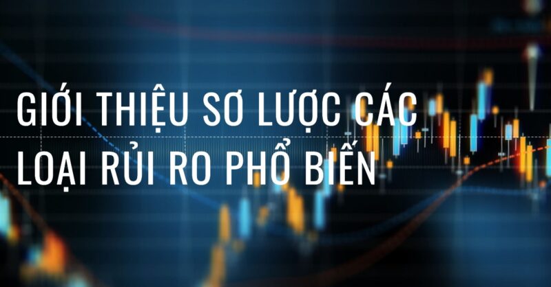 Giới Thiệu Sơ Lược Các Loại Rủi Ro Phổ Biến Giới Thiệu Sơ Lược Các Loại Rủi Ro Phổ Biến