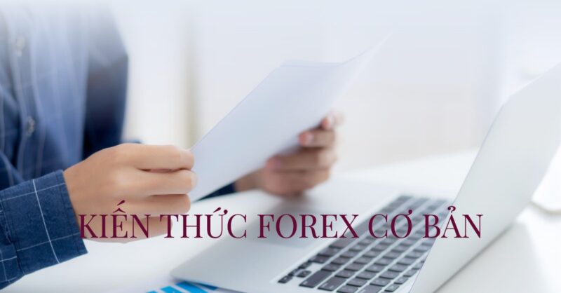Kiến thức Forex Cơ bản Kiến thức Forex Cơ bản