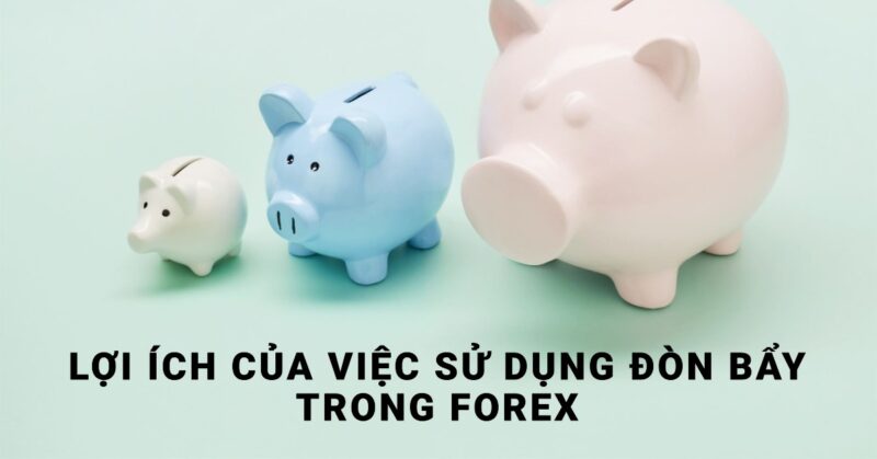 Lợi ích của việc sử dụng Đòn bẩy trong Forex Lợi ích của việc sử dụng Đòn bẩy trong Forex