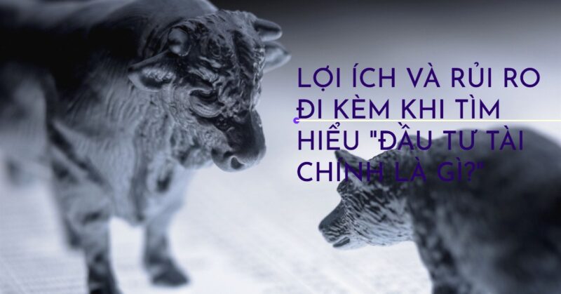 Lợi Ích và Rủi Ro Đi Kèm Khi Tìm Hiểu Đầu Tư Tài Chính Là Gì