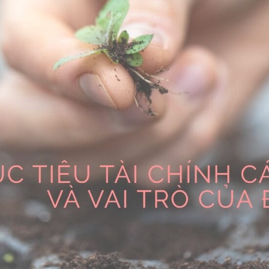Mục tiêu tài chính cá nhân và vai trò của đầu tư