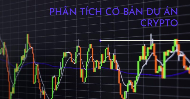 Phân tích cơ bản dự án crypto Phân tích cơ bản dự án crypto