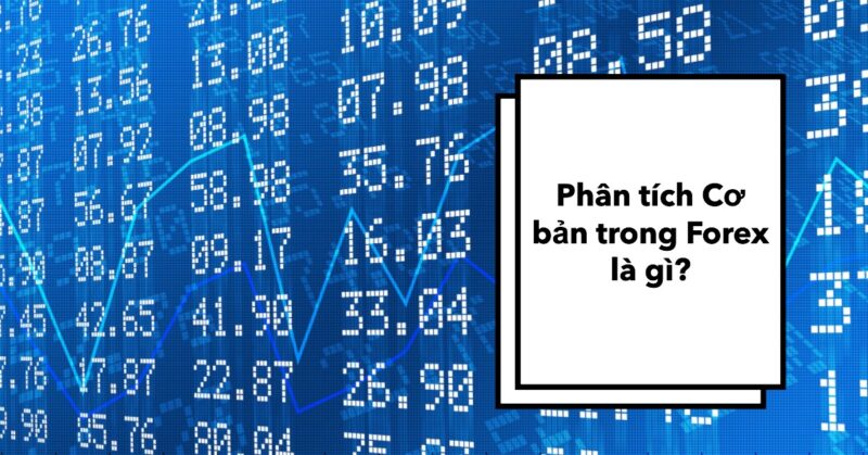 Phân tích Cơ bản trong Forex (Fundamental Analysis Forex) là gì Phân tích Cơ bản trong Forex (Fundamental Analysis Forex) là gì