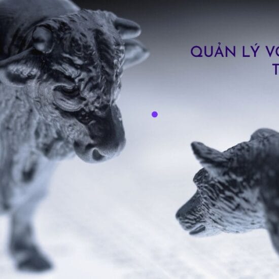 Quản lý vốn và rủi ro trong Forex