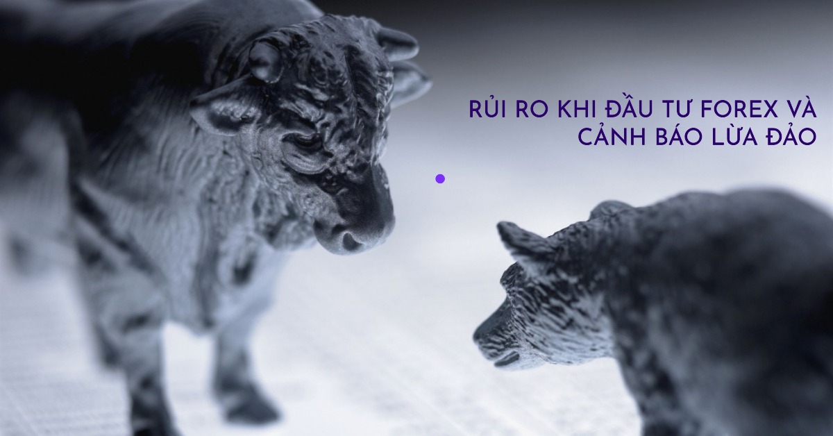 Rủi ro khi Đầu tư Forex và Cảnh báo Lừa đảo