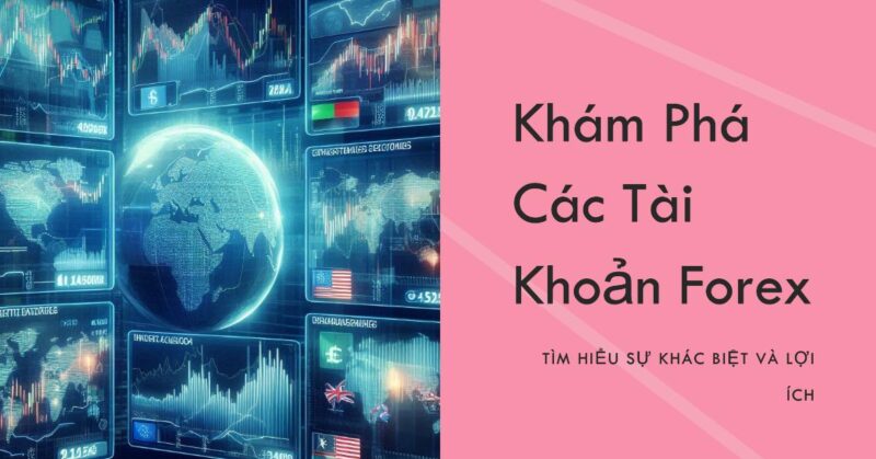 Tại sao lại có Nhiều Loại Tài khoản Forex Khác nhau Tại sao lại có Nhiều Loại Tài khoản Forex Khác nhau