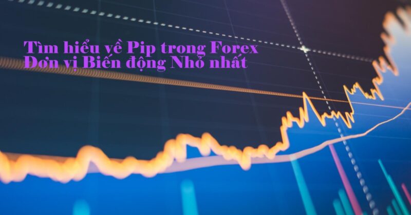 Tìm hiểu về Pip trong Forex – Đơn vị Biến động Nhỏ nhất Tìm hiểu về Pip trong Forex – Đơn vị Biến động Nhỏ nhất