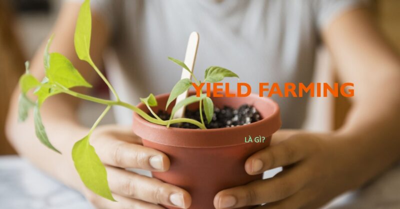 Yield Farming là gì Yield Farming là gì