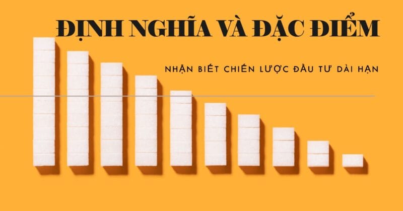 Định nghĩa và Đặc điểm Nhận biết Chiến lược Đầu tư Dài hạn