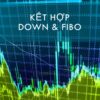 Kết Hợp Down & Fibo