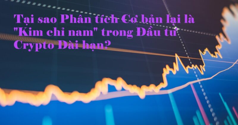 Tại sao Phân tích Cơ bản lại là Kim chỉ nam trong Đầu tư Crypto Dài hạn Tại sao Phân tích Cơ bản lại là Kim chỉ nam trong Đầu tư Crypto Dài hạn