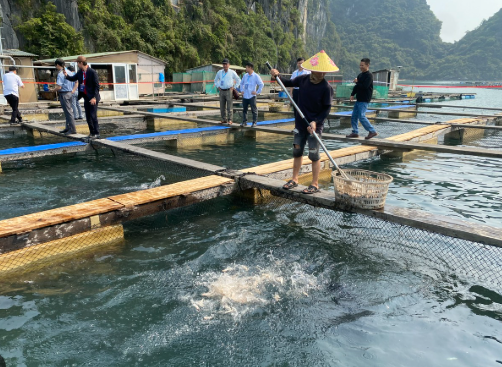 Kho báu ngầm của Việt Nam được Hàn Quốc, Thái Lan cực kỳ mê: Nửa năm thu hơn 300 triệu USD - Mỹ, Trung Quốc cũng liên tục chốt đơn- Ảnh 1.
