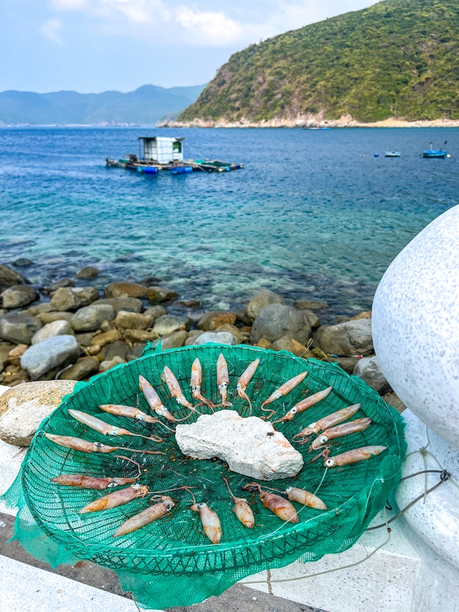 Hòn đảo không khách sạn, không resort, cách đất liền 20km, nhiều người bản địa cũng không biết tới- Ảnh 10. Hòn đảo không khách sạn, không resort, cách đất liền 20km, nhiều người bản địa cũng không biết tới- Ảnh 10.
