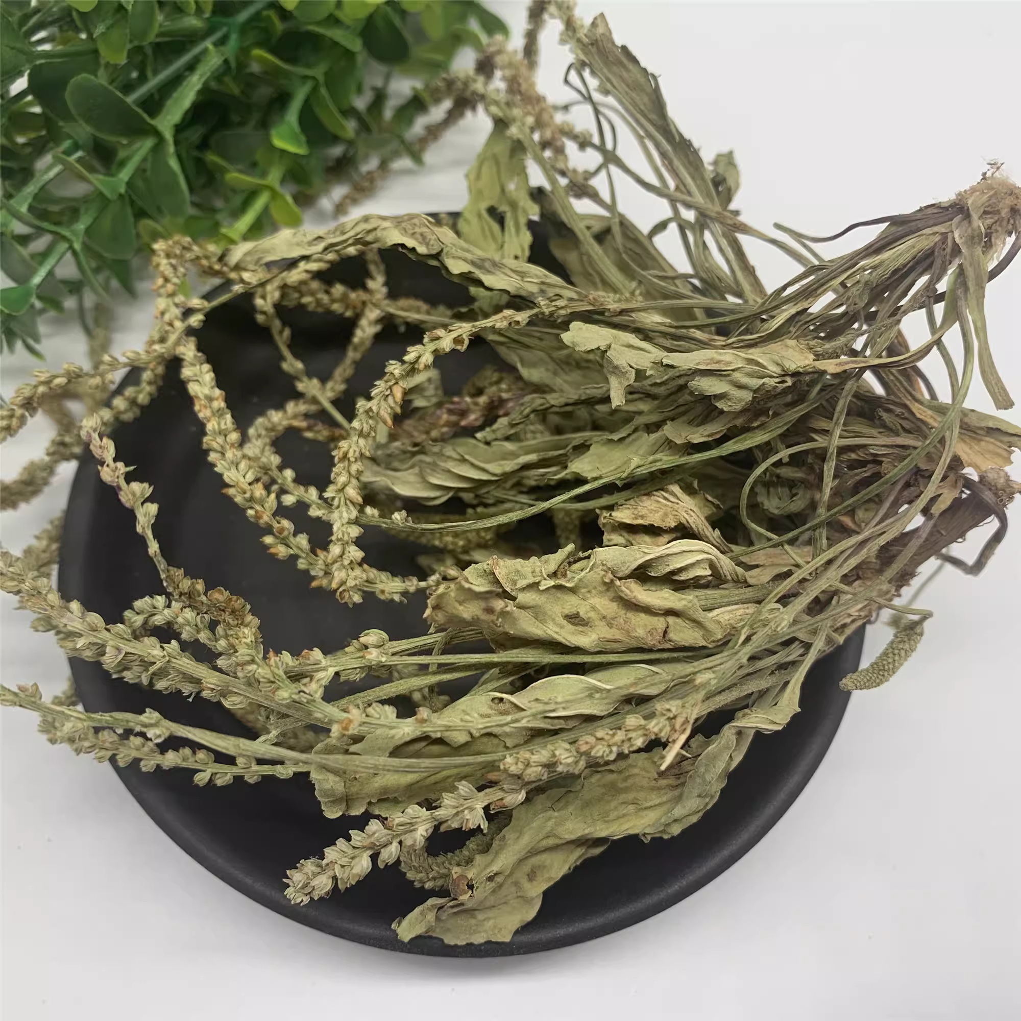 Việt Nam có loại cây mọc dại, người Trung Quốc coi là ‘cỏ tài lộc’: Hóa ra là vị thuốc quý- Ảnh 3.