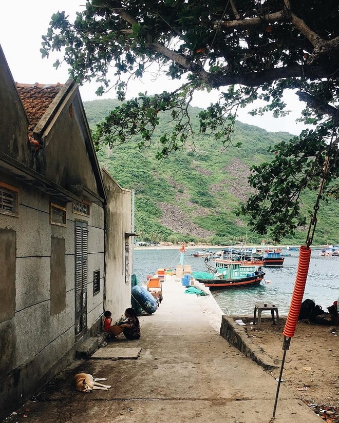 Hòn đảo không khách sạn, không resort, cách đất liền 20km, nhiều người bản địa cũng không biết tới- Ảnh 9. Hòn đảo không khách sạn, không resort, cách đất liền 20km, nhiều người bản địa cũng không biết tới- Ảnh 9.