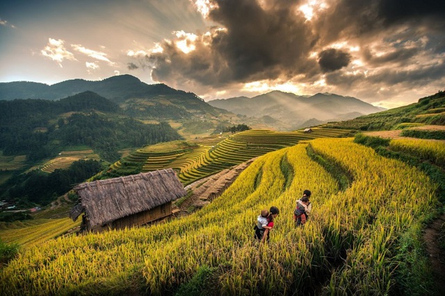 Nơi vắng vẻ nhiều người chưa biết ở Sa Pa, nhìn ảnh du khách nhận xét: "Đúng là cảnh đẹp trần gian!"- Ảnh 2. Nơi vắng vẻ nhiều người chưa biết ở Sa Pa, nhìn ảnh du khách nhận xét: "Đúng là cảnh đẹp trần gian!"- Ảnh 2.