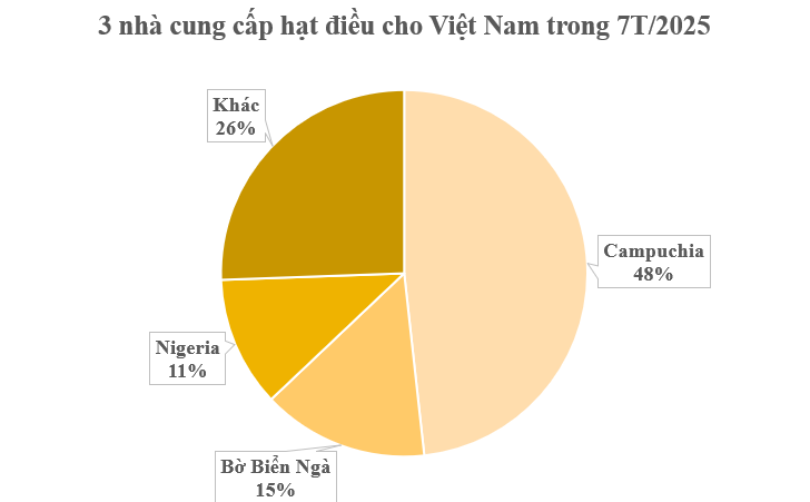 Hơn 900.000 tấn ‘báu vật quốc gia’ từ Campuchia vừa đổ bộ Việt Nam: Thuế nhập khẩu 0%, là trợ lực giúp nước ta xuất khẩu bỏ xa thế giới- Ảnh 2.