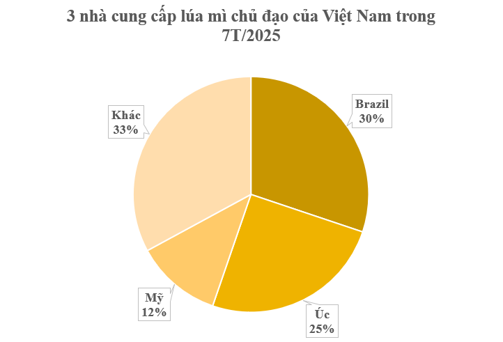 Mỹ - Nga đang đua nhau đưa một loại ‘báu vật nông sản’ vào Việt Nam: Thuế nhập khẩu 0%, nước ta đứng top ‘cá mập’ tiêu thụ của thế giới- Ảnh 2.