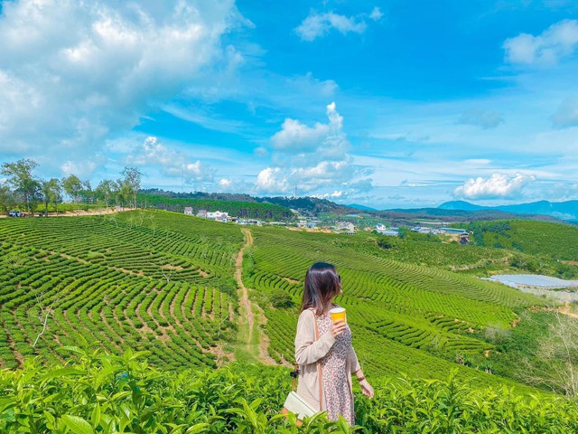 1 điểm đến duy nhất của Việt Nam được báo quốc tế ví “đẹp như châu Âu”: Khá gần TP.HCM, là điểm tránh nóng mê quên lối về- Ảnh 6.