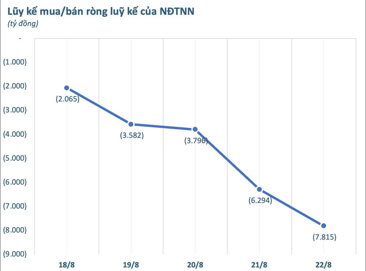 Hai mã Bluechips bị khối ngoại "thẳng tay" xả hàng nghìn tỷ trong tuần 18-22/8, ngược chiều cổ phiếu chứng khoán được gom mạnh- Ảnh 1. Hai mã Bluechips bị khối ngoại "thẳng tay" xả hàng nghìn tỷ trong tuần 18-22/8, ngược chiều cổ phiếu chứng khoán được gom mạnh- Ảnh 1.