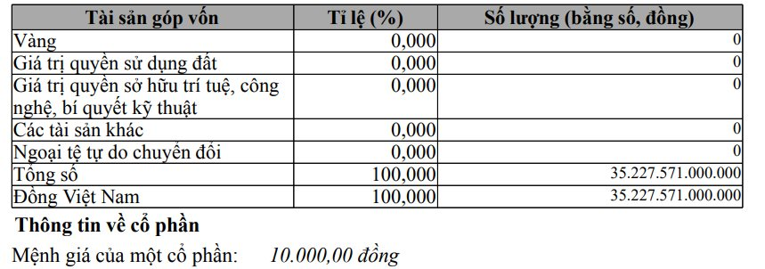Masterise tiếp tục tăng vốn gấp 5 lần lên hơn 35.000 tỷ đồng, mở thêm ngành hàng không sau khi con trai chủ tịch Techcombank giữ vị trí CEO- Ảnh 1.