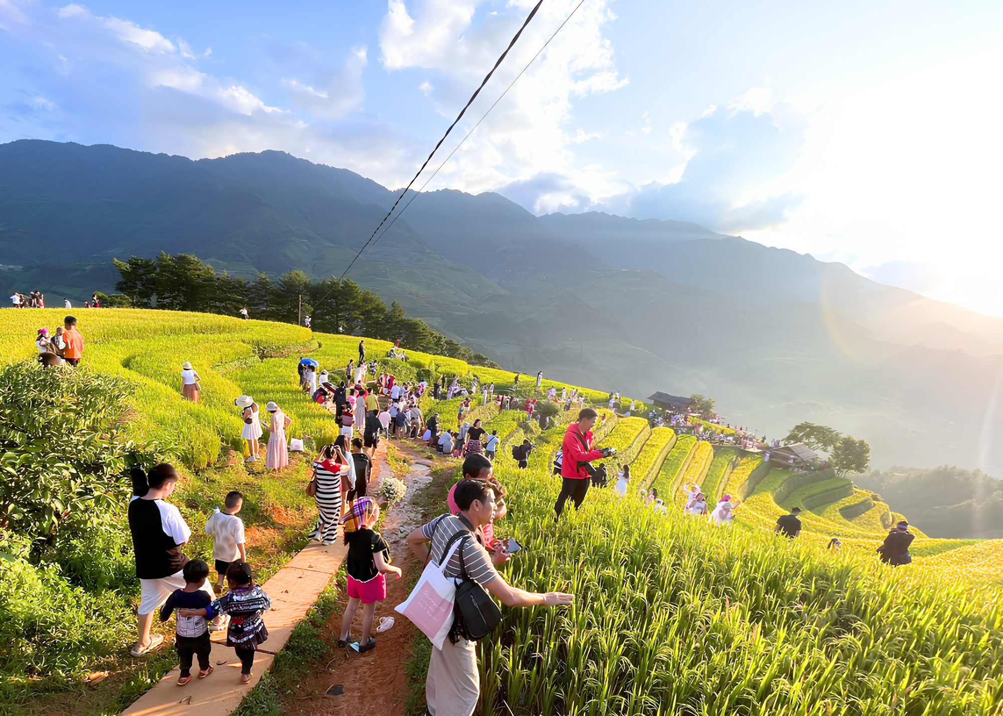 Cảnh tượng diễn ra giữa ruộng bậc thang Mù Cang Chải khiến nhiều người ngỡ ngàng: Hoá ra đây là lý do homestay thi nhau "cháy" phòng- Ảnh 3. Cảnh tượng diễn ra giữa ruộng bậc thang Mù Cang Chải khiến nhiều người ngỡ ngàng: Hoá ra đây là lý do homestay thi nhau "cháy" phòng- Ảnh 3.