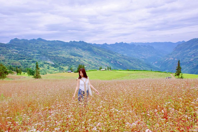 Thảo nguyên rộng lớn ngay vùng núi phía Bắc, cách Hà Nội 400km: Du khách nhận xét "như Châu Âu thu nhỏ"- Ảnh 12. Thảo nguyên rộng lớn ngay vùng núi phía Bắc, cách Hà Nội 400km: Du khách nhận xét "như Châu Âu thu nhỏ"- Ảnh 12.
