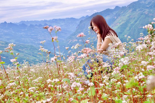 Thảo nguyên rộng lớn ngay vùng núi phía Bắc, cách Hà Nội 400km: Du khách nhận xét "như Châu Âu thu nhỏ"- Ảnh 11. Thảo nguyên rộng lớn ngay vùng núi phía Bắc, cách Hà Nội 400km: Du khách nhận xét "như Châu Âu thu nhỏ"- Ảnh 11.