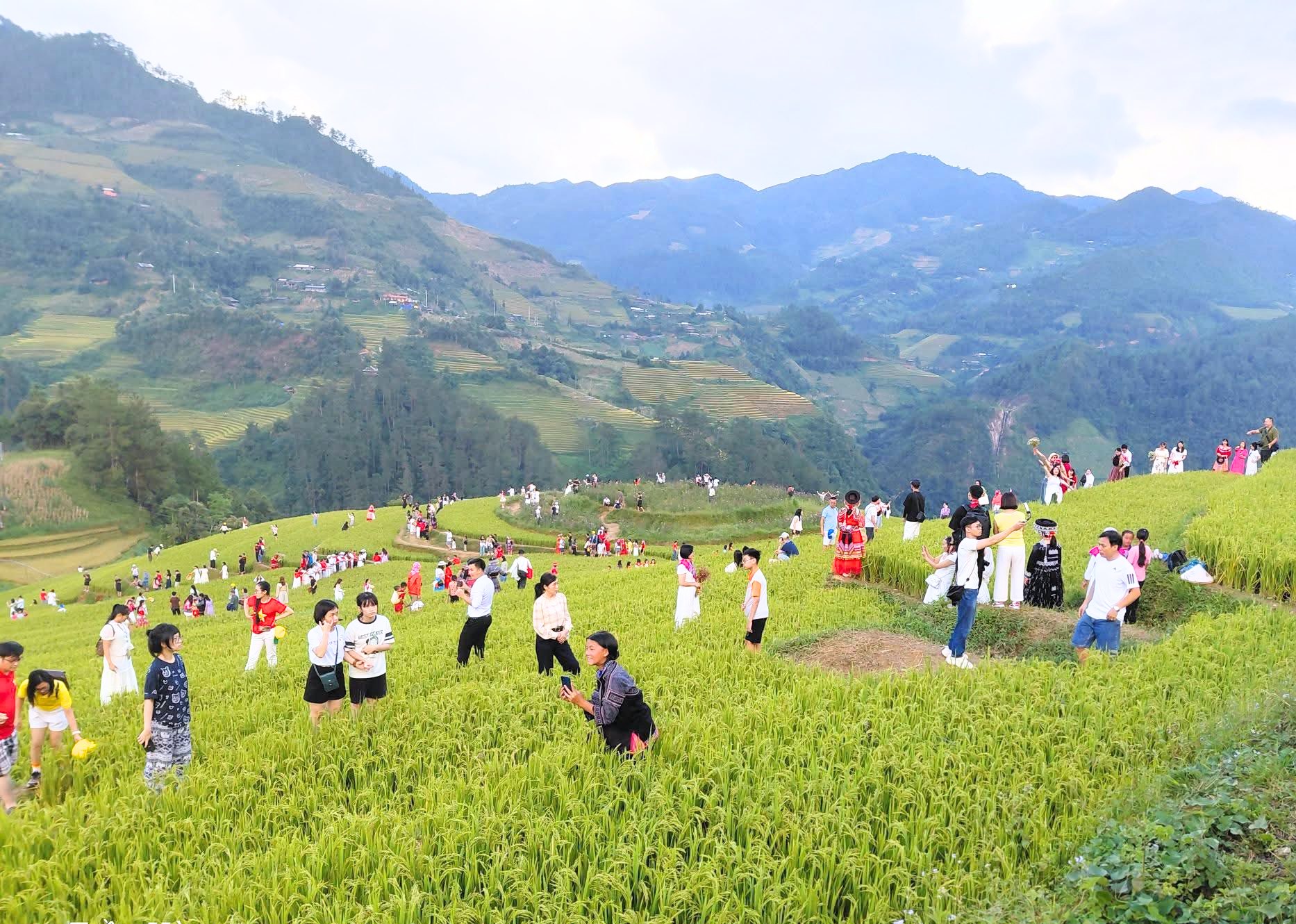 Cảnh tượng diễn ra giữa ruộng bậc thang Mù Cang Chải khiến nhiều người ngỡ ngàng: Hoá ra đây là lý do homestay thi nhau "cháy" phòng- Ảnh 5. Cảnh tượng diễn ra giữa ruộng bậc thang Mù Cang Chải khiến nhiều người ngỡ ngàng: Hoá ra đây là lý do homestay thi nhau "cháy" phòng- Ảnh 5.