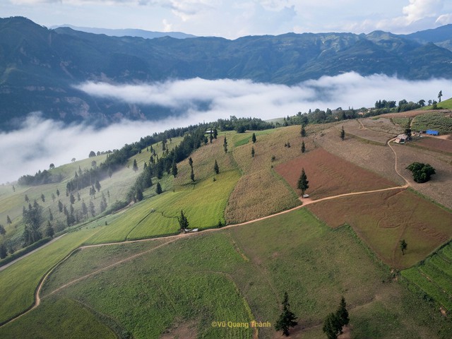 Thảo nguyên rộng lớn ngay vùng núi phía Bắc, cách Hà Nội 400km: Du khách nhận xét "như Châu Âu thu nhỏ"- Ảnh 1. Thảo nguyên rộng lớn ngay vùng núi phía Bắc, cách Hà Nội 400km: Du khách nhận xét "như Châu Âu thu nhỏ"- Ảnh 1.