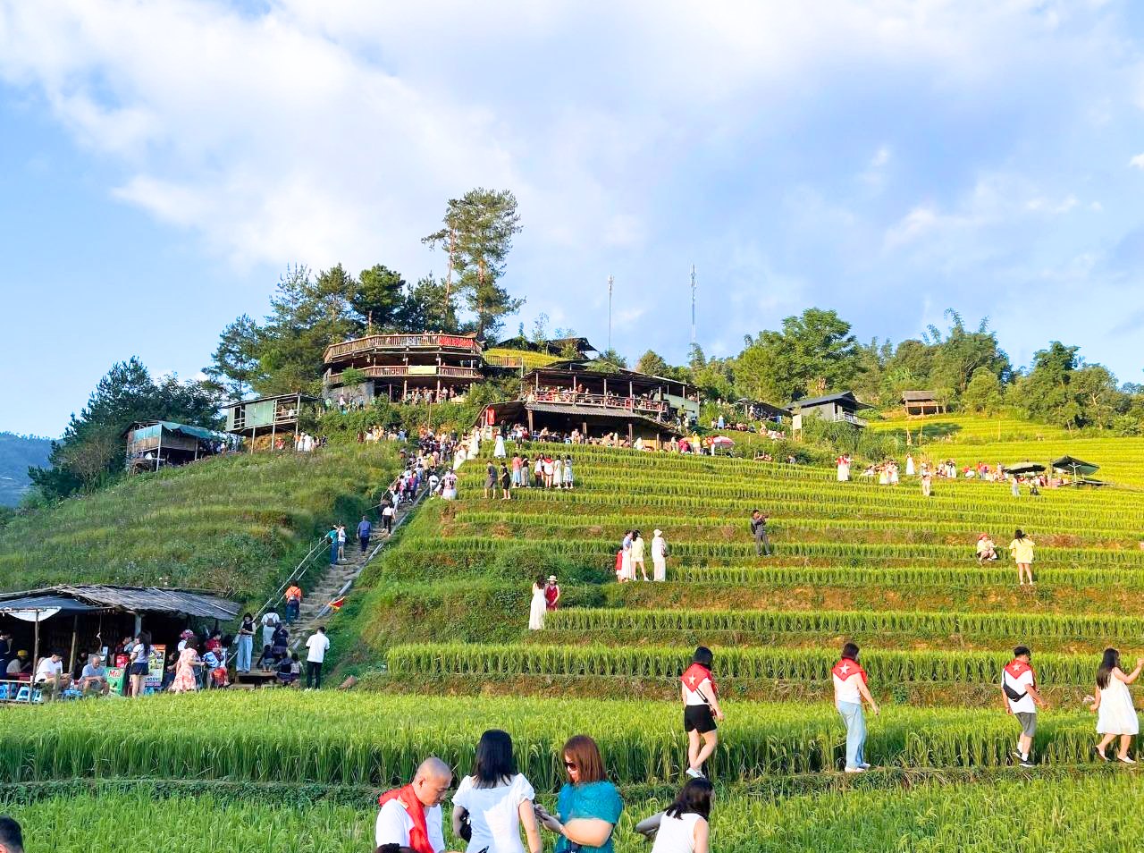 Cảnh tượng diễn ra giữa ruộng bậc thang Mù Cang Chải khiến nhiều người ngỡ ngàng: Hoá ra đây là lý do homestay thi nhau "cháy" phòng- Ảnh 6. Cảnh tượng diễn ra giữa ruộng bậc thang Mù Cang Chải khiến nhiều người ngỡ ngàng: Hoá ra đây là lý do homestay thi nhau "cháy" phòng- Ảnh 6.
