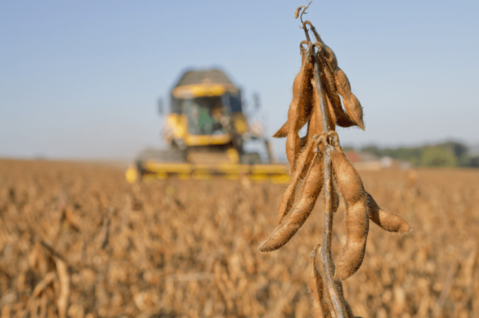 Trung Quốc ngừng nhập khẩu, Mỹ tăng cường đưa một mặt hàng vào Việt Nam: Thuế nhập khẩu 0%, nước ta tiêu thụ đứng thứ 3 thế giới- Ảnh 1. Trung Quốc ngừng nhập khẩu, Mỹ tăng cường đưa một mặt hàng vào Việt Nam: Thuế nhập khẩu 0%, nước ta tiêu thụ đứng thứ 3 thế giới- Ảnh 1.