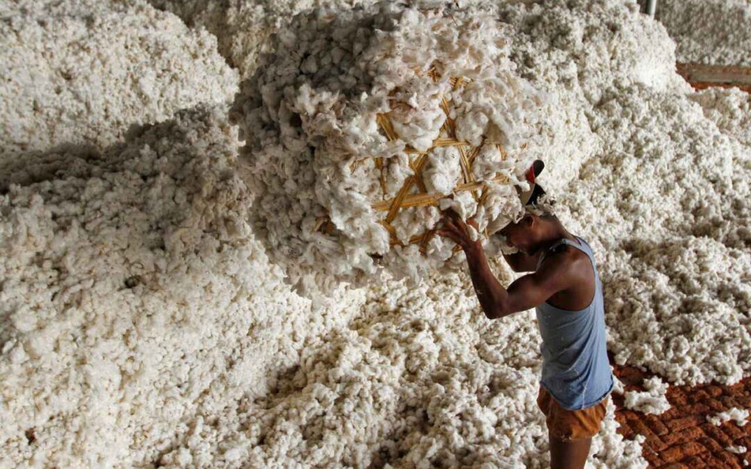 Xuất khẩu sang Trung Quốc trượt dốc 90%, Mỹ ồ ạt đưa một mặt hàng vào Việt Nam với giá siêu rẻ, nước ta tiêu thụ 1,5 triệu tấn/năm- Ảnh 1. Xuất khẩu sang Trung Quốc trượt dốc 90%, Mỹ ồ ạt đưa một mặt hàng vào Việt Nam với giá siêu rẻ, nước ta tiêu thụ 1,5 triệu tấn/năm- Ảnh 1.