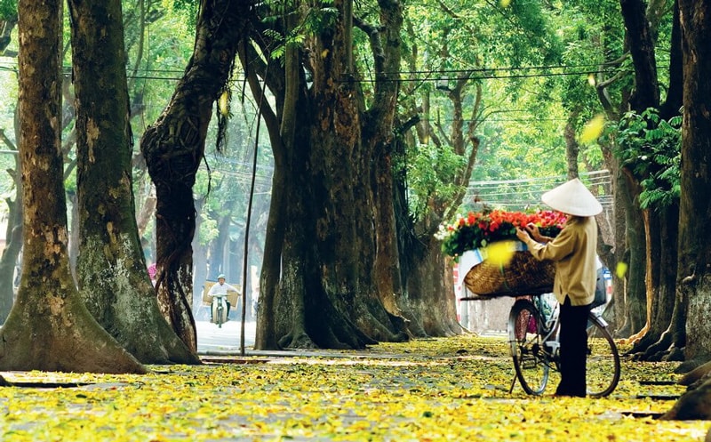 Ngang hàng Kyoto và Nami, thành phố duy nhất của Việt Nam lọt Top 7 điểm đến mùa thu đẹp nhất châu Á- Ảnh 2. Ngang hàng Kyoto và Nami, thành phố duy nhất của Việt Nam lọt Top 7 điểm đến mùa thu đẹp nhất châu Á- Ảnh 2.