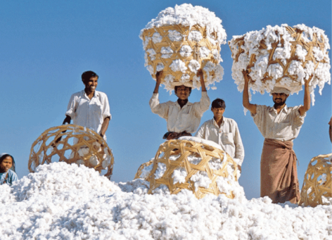 'Khách ruột' Mỹ chi hơn 13 tỷ USD chốt đơn mặt hàng này của Việt Nam, 66 quốc gia khác đua nhau săn mua- Ảnh 1. 'Khách ruột' Mỹ chi hơn 13 tỷ USD chốt đơn mặt hàng này của Việt Nam, 66 quốc gia khác đua nhau săn mua- Ảnh 1.