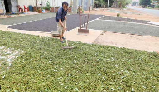 Một mặt hàng của Việt Nam đang làm mưa làm gió tại Mỹ: Chiếm thị phần bằng các đối thủ cộng lại, thế giới ngày càng khan hiếm- Ảnh 1. Một mặt hàng của Việt Nam đang làm mưa làm gió tại Mỹ: Chiếm thị phần bằng các đối thủ cộng lại, thế giới ngày càng khan hiếm- Ảnh 1.