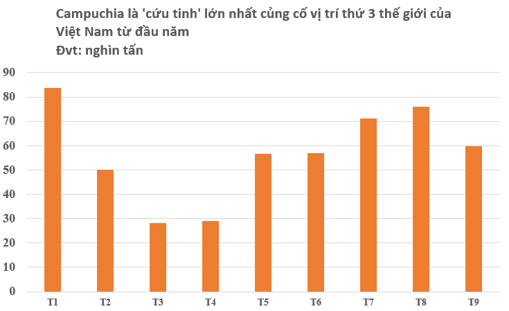 Hơn nửa triệu tấn ‘cứu tinh’ từ Campuchia vừa đổ bộ Việt Nam: Được mệnh danh ‘vàng trắng’ trên cây, nước ta đứng thứ 3 thế giới- Ảnh 2. Hơn nửa triệu tấn ‘cứu tinh’ từ Campuchia vừa đổ bộ Việt Nam: Được mệnh danh ‘vàng trắng’ trên cây, nước ta đứng thứ 3 thế giới- Ảnh 2.