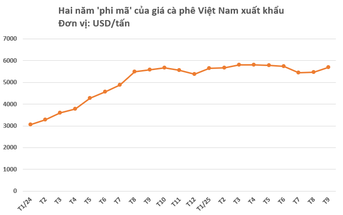 'Vàng' của người nông dân Việt vào mùa ‘lấp lánh’ - Xuất khẩu phá đỉnh lịch sử 8 tỷ USD, giá liên tục tăng phi mã vì đâu?- Ảnh 3. 'Vàng' của người nông dân Việt vào mùa ‘lấp lánh’ - Xuất khẩu phá đỉnh lịch sử 8 tỷ USD, giá liên tục tăng phi mã vì đâu?- Ảnh 3.