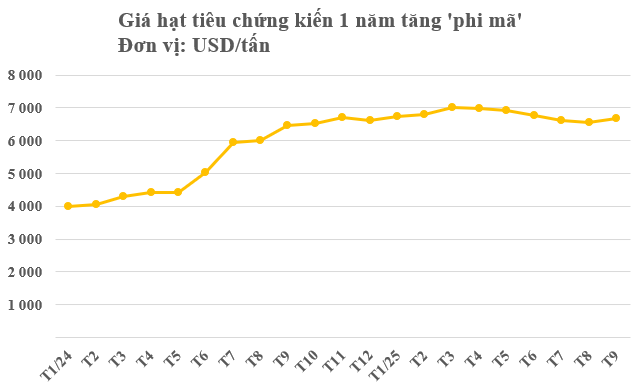 Một mặt hàng của Việt Nam đang làm mưa làm gió tại Mỹ: Chiếm thị phần bằng các đối thủ cộng lại, thế giới ngày càng khan hiếm- Ảnh 2. Một mặt hàng của Việt Nam đang làm mưa làm gió tại Mỹ: Chiếm thị phần bằng các đối thủ cộng lại, thế giới ngày càng khan hiếm- Ảnh 2.