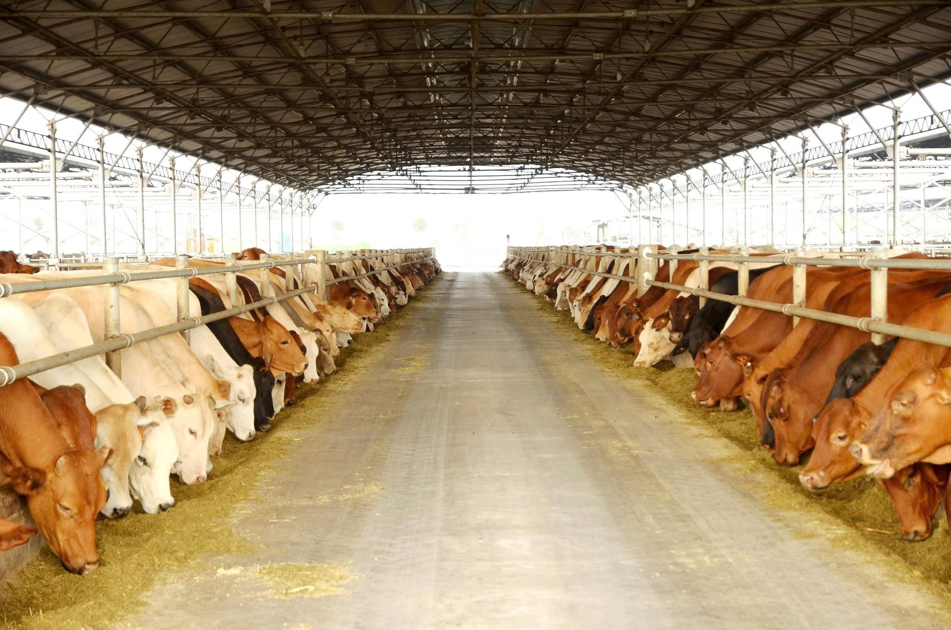 Tân binh sàn chứng khoán Việt Nam 2025: Kẻ tăng giá gấp đôi, người 'hụt hơi' và những gã khổng lồ tỷ đô sắp lộ diện- Ảnh 2. Tân binh sàn chứng khoán Việt Nam 2025: Kẻ tăng giá gấp đôi, người 'hụt hơi' và những gã khổng lồ tỷ đô sắp lộ diện- Ảnh 2.