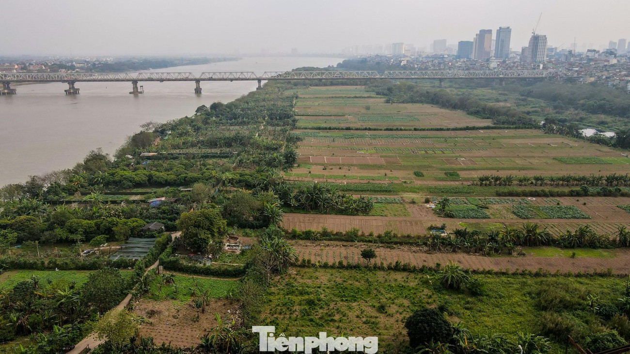 Hà Nội định hướng xây dựng trung tâm công nghiệp văn hóa tầm cỡ ở bãi giữa sông Hồng- Ảnh 1.