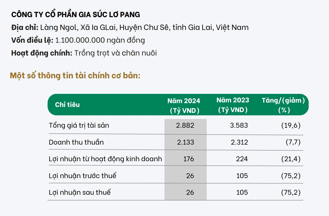 Chân dung 2 DN nghìn tỷ của Hoàng Anh Gia Lai muốn niêm yết năm 2026, 2027: Có công ty được chuyển 300 tỷ tiền nợ thành vốn góp- Ảnh 3. Chân dung 2 DN nghìn tỷ của Hoàng Anh Gia Lai muốn niêm yết năm 2026, 2027: Có công ty được chuyển 300 tỷ tiền nợ thành vốn góp- Ảnh 3.